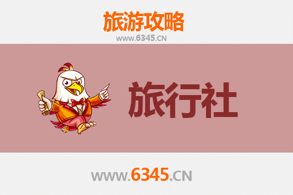 保亭什玲镇本地旅行社推荐：探索雨林秘境的理想伙伴