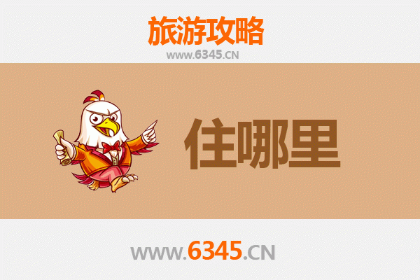 保亭什玲镇住宿全攻略：雨林深处的黎乡风情体验